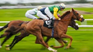 Corrida de Cavalos e Apostas Online - Como Funciona e Principais Mercados